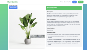 Read more about the article AI-Powered Plant Identifier: Your Next SaaS Template